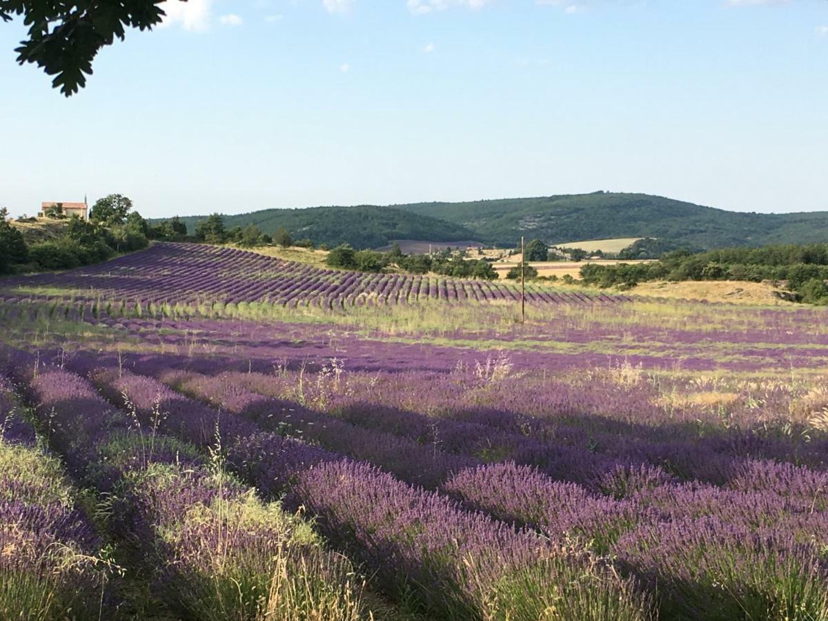 Villa Luberon Saint-Saturnin-d'Apt Exterior foto
